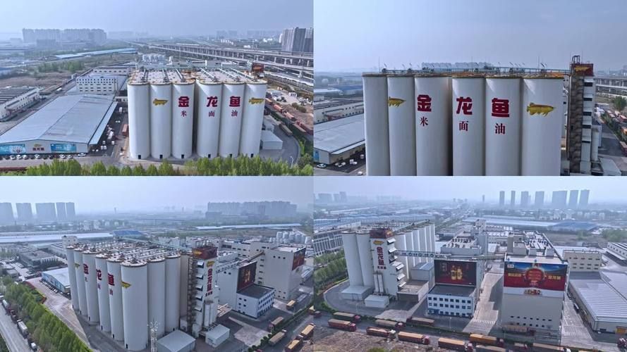 能否提供金龍魚蕪湖生產(chǎn)基地的圖片，能否提供金龍魚蕪湖生產(chǎn)基地的圖片？ 能否提供金龍魚蕪湖生產(chǎn)基地的圖片，能否提供金龍魚蕪湖生產(chǎn)基地的圖片？ 龍魚百科 第8張