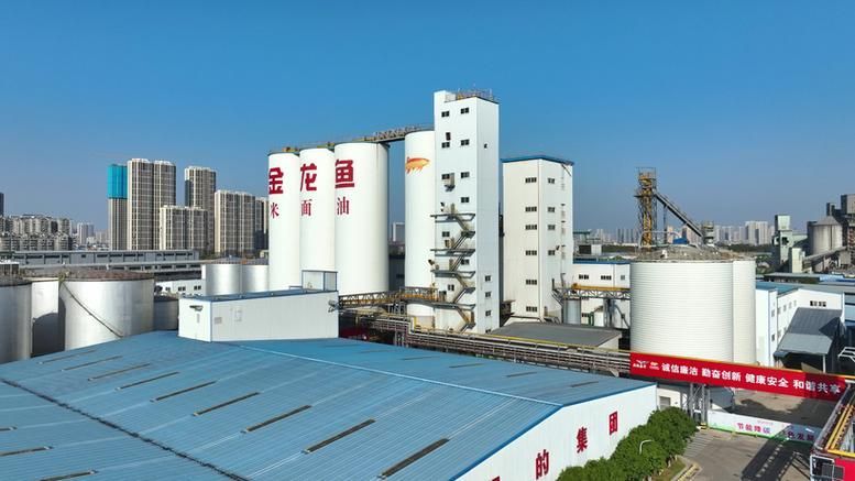能否提供金龍魚蕪湖生產(chǎn)基地的圖片，能否提供金龍魚蕪湖生產(chǎn)基地的圖片？ 能否提供金龍魚蕪湖生產(chǎn)基地的圖片，能否提供金龍魚蕪湖生產(chǎn)基地的圖片？ 龍魚百科 第3張