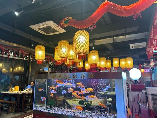 如何聯系鳳陽龍魚市場的供應商？，鳳陽龍魚市場供應商聯系鳳陽龍魚市場供應商聯系方式 如何聯系鳳陽龍魚市場的供應商？，鳳陽龍魚市場供應商聯系鳳陽龍魚市場供應商聯系方式 龍魚百科 第3張