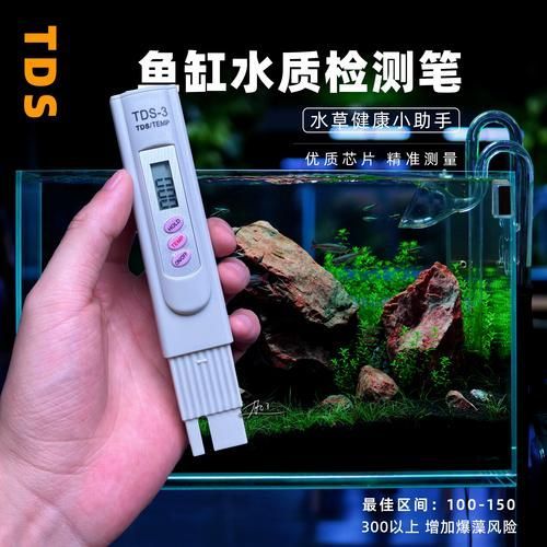 如何預防魚爛尾巴，如何預防觀賞魚爛尾巴 如何預防魚爛尾巴，如何預防觀賞魚爛尾巴 龍魚百科 第5張