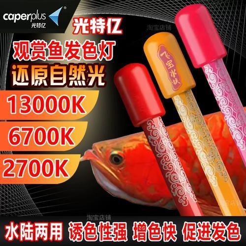 紅龍用2700燈發色快還是慢，2700k燈和6700k燈使用有哪些注意事項 紅龍用2700燈發色快還是慢，2700k燈和6700k燈使用有哪些注意事項 龍魚百科 第2張