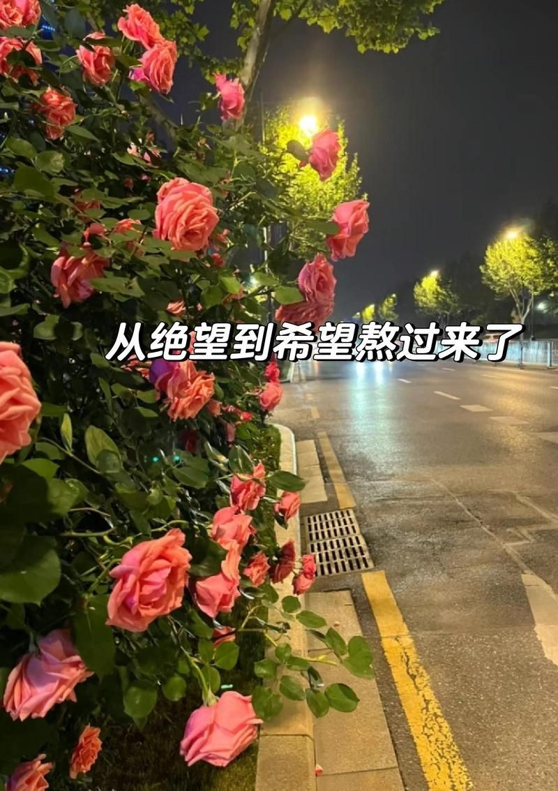 中醫治療腹水有哪些成功案例，中醫治療肝硬化腹水