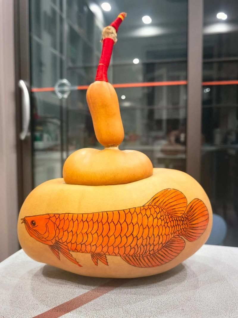 招財(cái)龍魚(yú)圖片格式有哪些，招財(cái)龍魚(yú)圖片格式分類及其特點(diǎn)及其特點(diǎn)及其特點(diǎn)