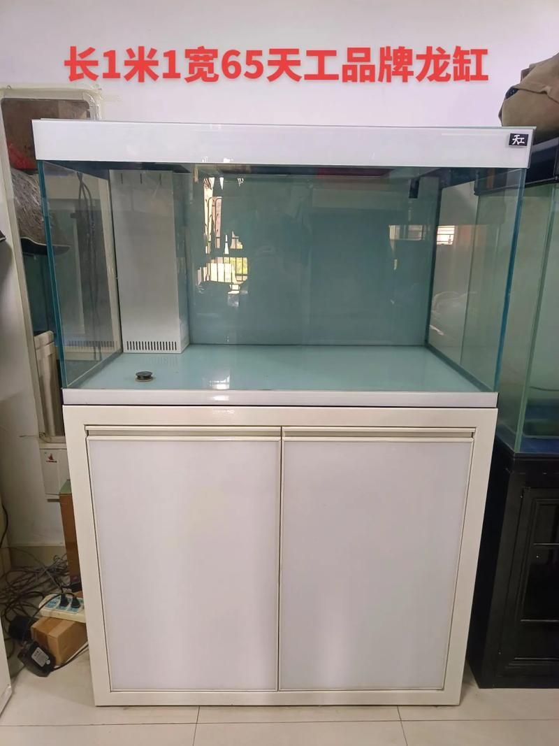 如何安裝龍魚缸的蓋子？，如何安裝龍魚缸蓋子安裝龍魚缸蓋子安裝成功的詳細操作指南 如何安裝龍魚缸的蓋子？，如何安裝龍魚缸蓋子安裝龍魚缸蓋子安裝成功的詳細操作指南 龍魚百科 第3張