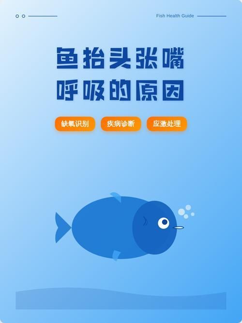 能否提供一張影響魚類呼吸的示意圖,影響魚類呼吸的因素 龍魚百科 第10張 能否提供一張影響魚類呼吸的示意圖,影響魚類呼吸的因素 能否提供一張影響魚類呼吸的示意圖,影響魚類呼吸的因素 龍魚百科 第10張