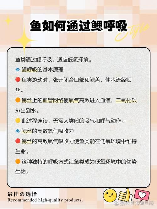 能否提供一張影響魚類呼吸的示意圖,影響魚類呼吸的因素 龍魚百科 第15張 能否提供一張影響魚類呼吸的示意圖,影響魚類呼吸的因素 能否提供一張影響魚類呼吸的示意圖,影響魚類呼吸的因素 龍魚百科 第15張