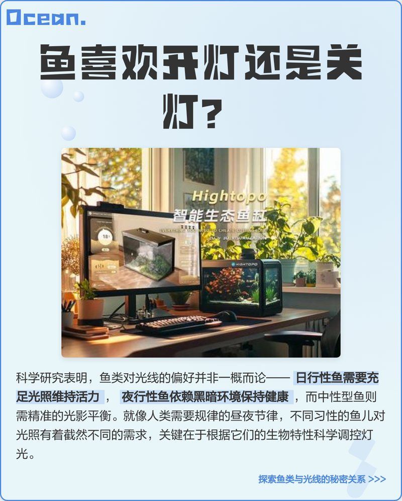 哪種類型的夜燈最適合龍魚？，龍魚夜晚用燈全解析