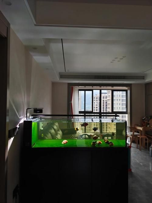 水鴉魚缸有哪些型號 水鴉魚缸有哪些型號 龍魚百科 第7張
