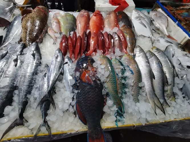 海珠龍魚的市場走勢如何，廣州海珠水產市場龍魚交易