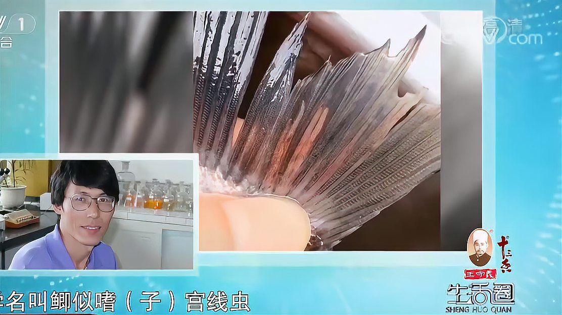 哪些魚容易患寄生蟲病，全民小視頻05:04鯽魚尾巴上的紅色蟲子是什么~