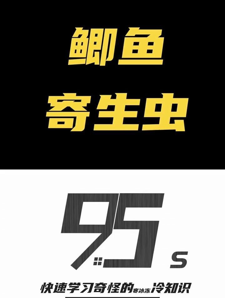 哪些魚容易患寄生蟲病，全民小視頻05:04鯽魚尾巴上的紅色蟲子是什么~