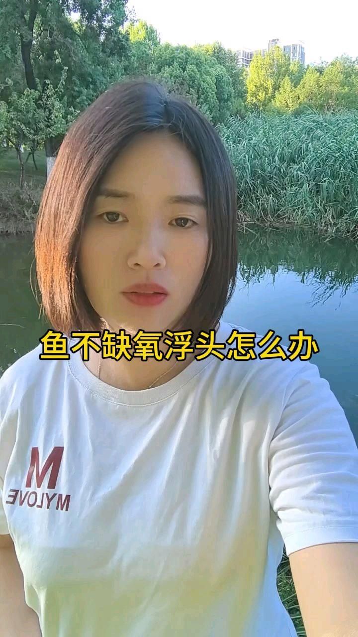 魚暗浮頭如何急救，魚在遇到浮頭現象時，可能是由于缺氧、水質問題引起的