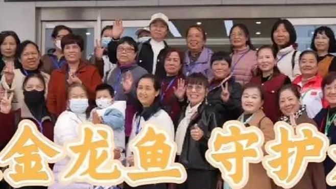 金龍魚在中國有哪些主要生產(chǎn)基地？，金龍魚全國生產(chǎn)基地分布清單 金龍魚在中國有哪些主要生產(chǎn)基地？，金龍魚全國生產(chǎn)基地分布清單 龍魚百科
