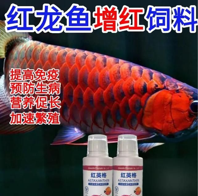 如何判斷龍魚飼料是否適合我的魚？，如何判斷龍魚飼料是否適合你的魚