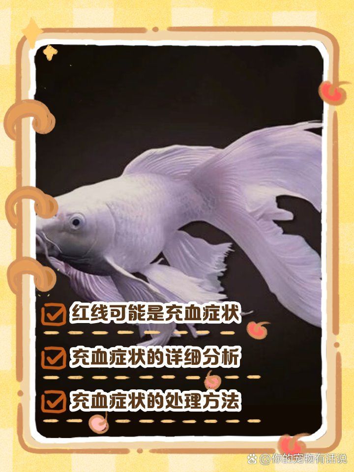 如何判斷魚鱗充血是否嚴重，如何判斷魚鱗充血嚴重