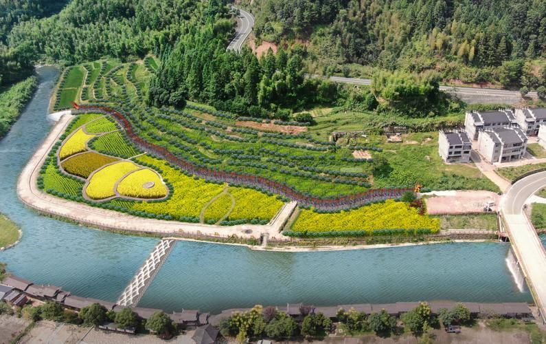 泰寧龍魚有哪些著名景點(diǎn)？，泰寧鯉魚與龍文化主題的3日游攻略 泰寧龍魚有哪些著名景點(diǎn)？，泰寧鯉魚與龍文化主題的3日游攻略 龍魚百科 第2張