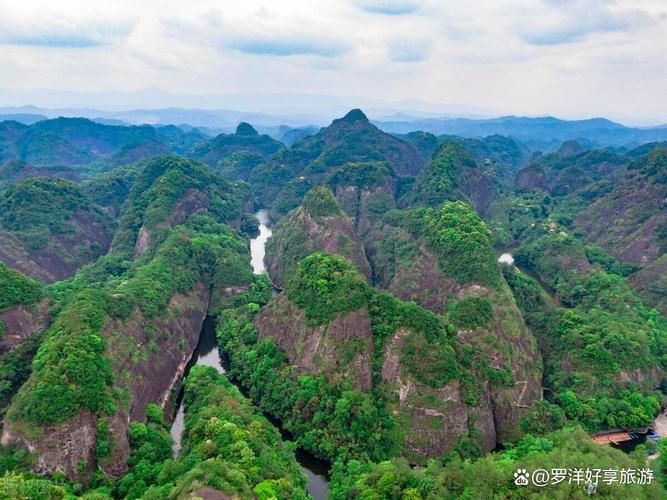 泰寧龍魚有哪些著名景點(diǎn)？，泰寧鯉魚與龍文化主題的3日游攻略 泰寧龍魚有哪些著名景點(diǎn)？，泰寧鯉魚與龍文化主題的3日游攻略 龍魚百科 第18張