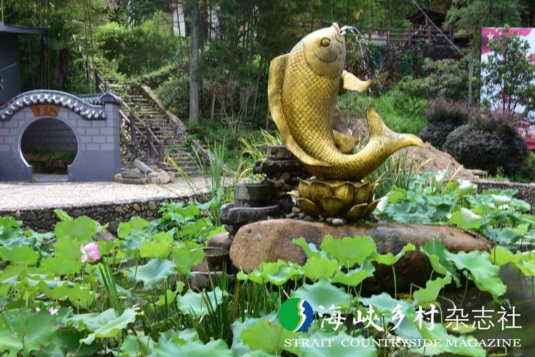 泰寧龍魚有哪些著名景點(diǎn)？，泰寧鯉魚與龍文化主題的3日游攻略 泰寧龍魚有哪些著名景點(diǎn)？，泰寧鯉魚與龍文化主題的3日游攻略 龍魚百科 第1張
