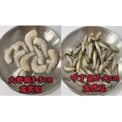 有哪些替代活泥鰍的龍魚餌料？