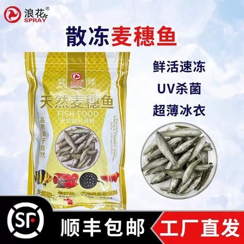 有哪些替代活泥鰍的龍魚餌料？