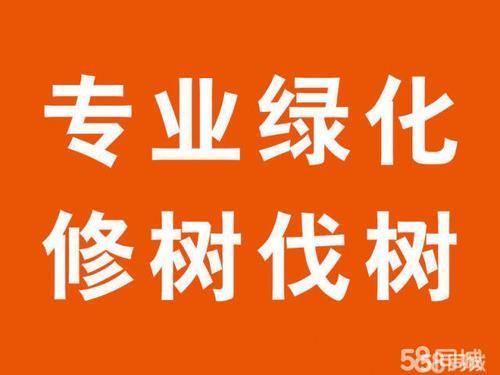 如何在58同城找到靠譜的龍魚苗批發商？，北京58同城龍魚苗批發商的核心信息整理完全覆蓋