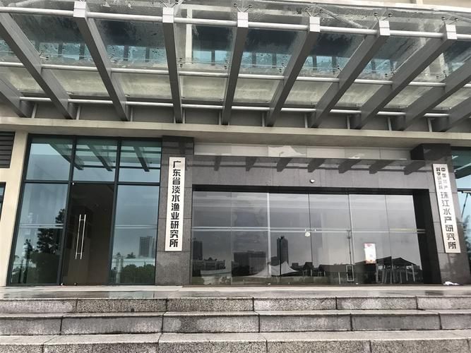 珠江水產研究所團隊有哪些關鍵突破，珠江所鱖鱸團隊聯合企業成功研發出我國首個具有完全自主知識產權的鱖魚40k液 珠江水產研究所團隊有哪些關鍵突破，珠江所鱖鱸團隊聯合企業成功研發出我國首個具有完全自主知識產權的鱖魚40k液 龍魚百科 第1張