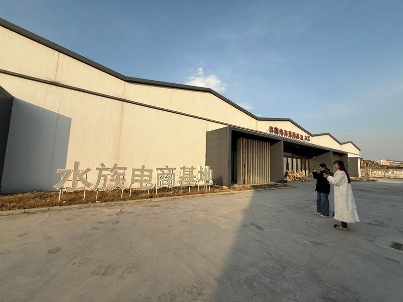 鷹手營子礦龍魚的市場前景如何，“鷹手營子礦龍魚市場前景如何思考完成龍魚市場前景