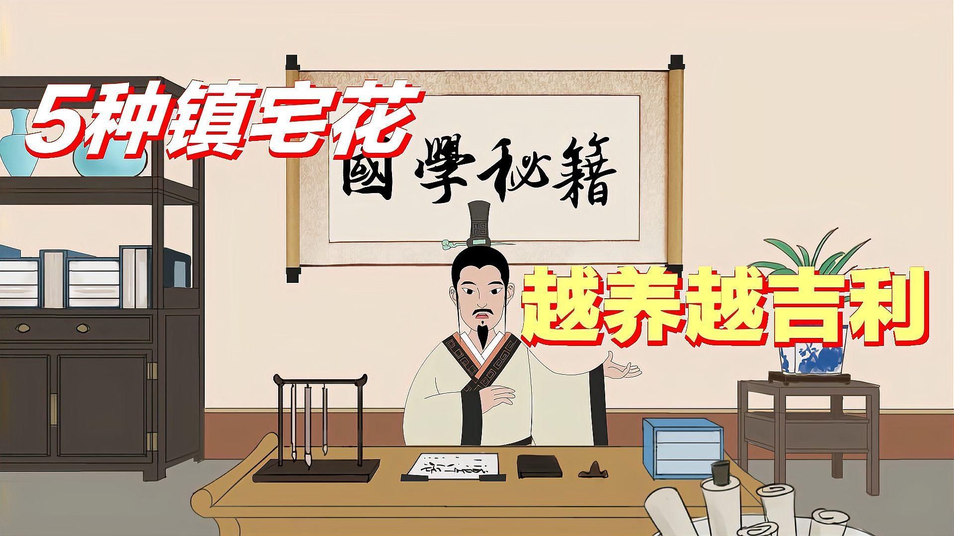 還有哪些鎮(zhèn)宅又聚財(cái)?shù)幕ǎ蛷d擺放什么植物寓意好？