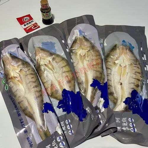 雪龍魚的市場價格是多少？，雪龍魚的價格是多少？ 雪龍魚的市場價格是多少？，雪龍魚的價格是多少？ 龍魚百科 第2張