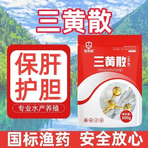 如何預防魚爛身爛尾的復發，如何預防魚爛身爛尾復發