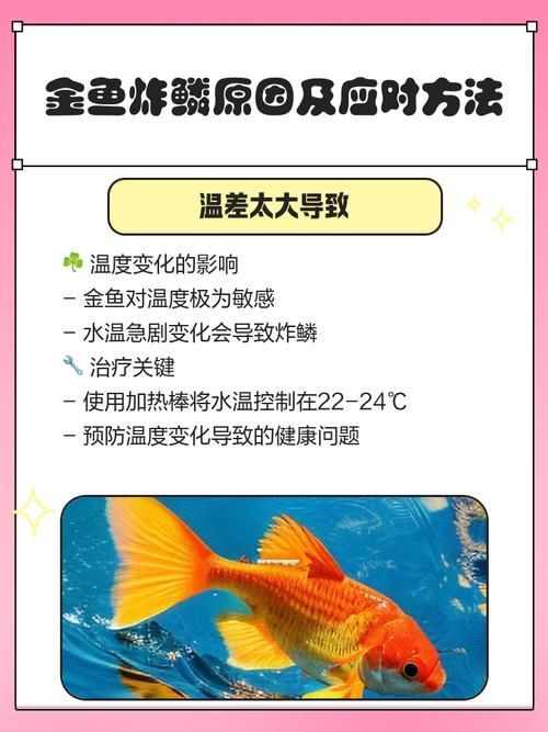 如何預(yù)防金魚炸鱗病復(fù)發(fā),如何預(yù)防金魚炸鱗病 龍魚百科 第3張 如何預(yù)防金魚炸鱗病復(fù)發(fā),如何預(yù)防金魚炸鱗病 如何預(yù)防金魚炸鱗病復(fù)發(fā),如何預(yù)防金魚炸鱗病 龍魚百科 第3張
