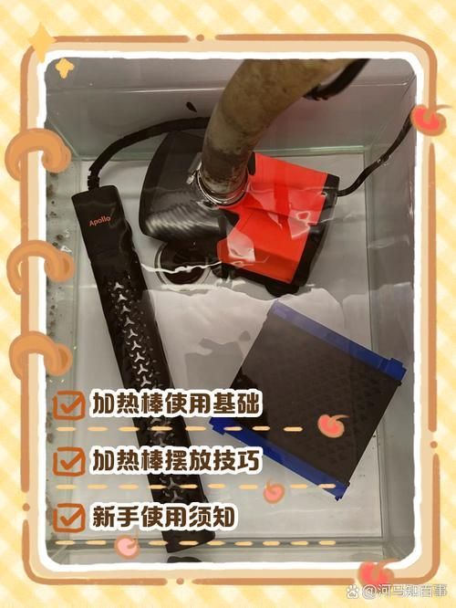 如何預(yù)防金魚炸鱗病復(fù)發(fā),如何預(yù)防金魚炸鱗病 龍魚百科 第9張 如何預(yù)防金魚炸鱗病復(fù)發(fā),如何預(yù)防金魚炸鱗病 如何預(yù)防金魚炸鱗病復(fù)發(fā),如何預(yù)防金魚炸鱗病 龍魚百科 第9張