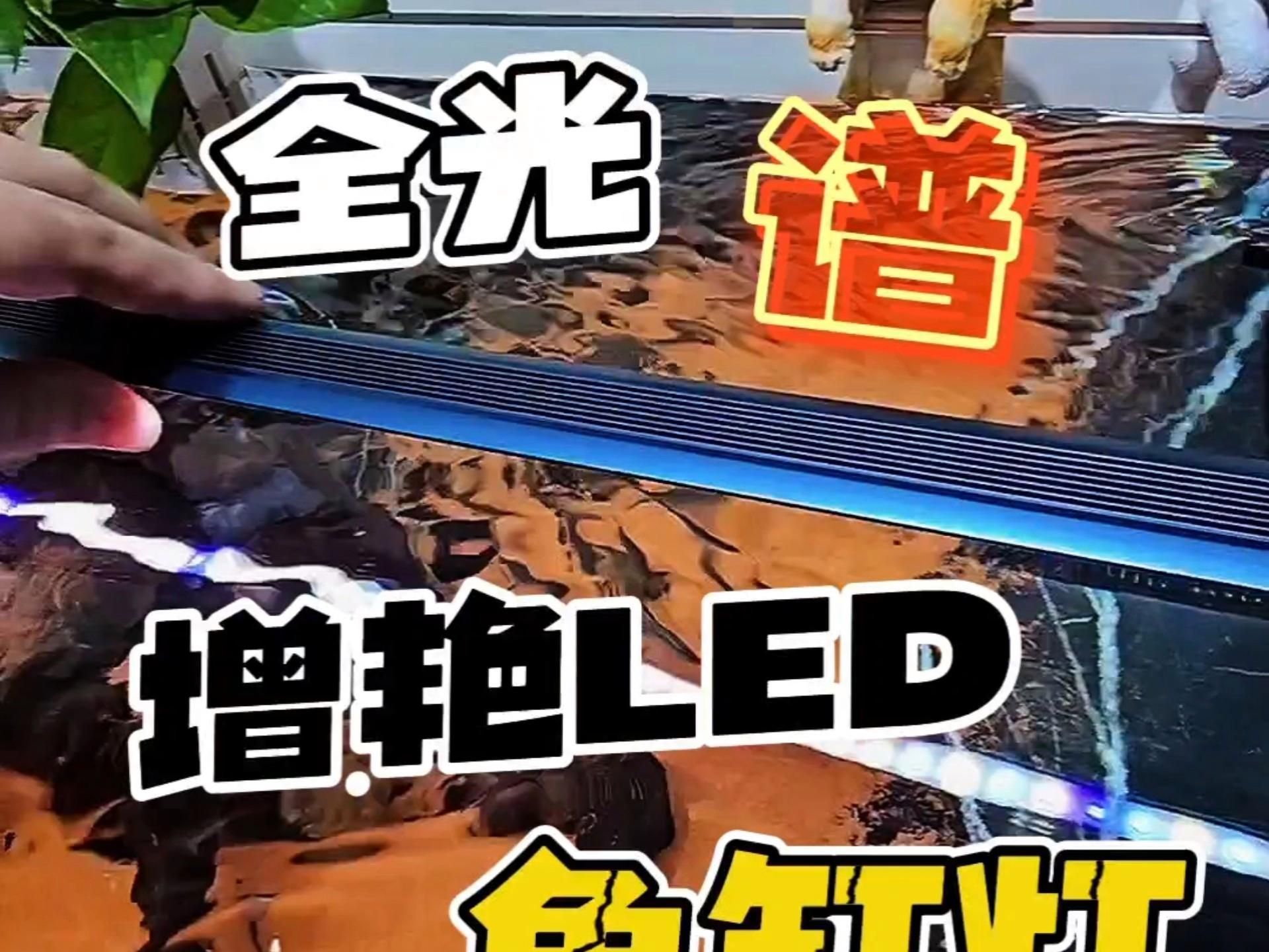 有沒有延長龍魚增色燈壽命的方法？，延長龍魚增色燈壽命的方法 有沒有延長龍魚增色燈壽命的方法？，延長龍魚增色燈壽命的方法 龍魚百科 第2張