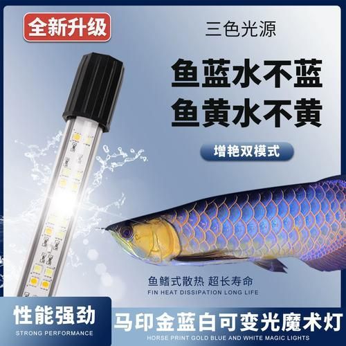有哪些品牌金龍魚燈光推薦，金龍魚燈光品牌推薦 有哪些品牌金龍魚燈光推薦，金龍魚燈光品牌推薦 龍魚百科 第7張