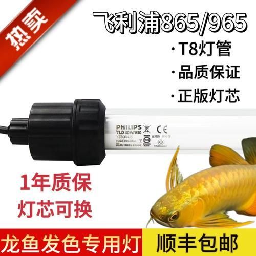 有哪些品牌金龍魚燈光推薦，金龍魚燈光品牌推薦 有哪些品牌金龍魚燈光推薦，金龍魚燈光品牌推薦 龍魚百科 第14張