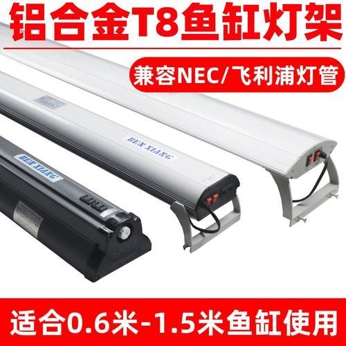 有哪些品牌金龍魚燈光推薦，金龍魚燈光品牌推薦 有哪些品牌金龍魚燈光推薦，金龍魚燈光品牌推薦 龍魚百科 第15張