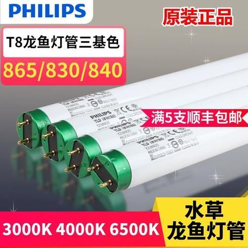 有哪些品牌金龍魚燈光推薦，金龍魚燈光品牌推薦 有哪些品牌金龍魚燈光推薦，金龍魚燈光品牌推薦 龍魚百科 第18張