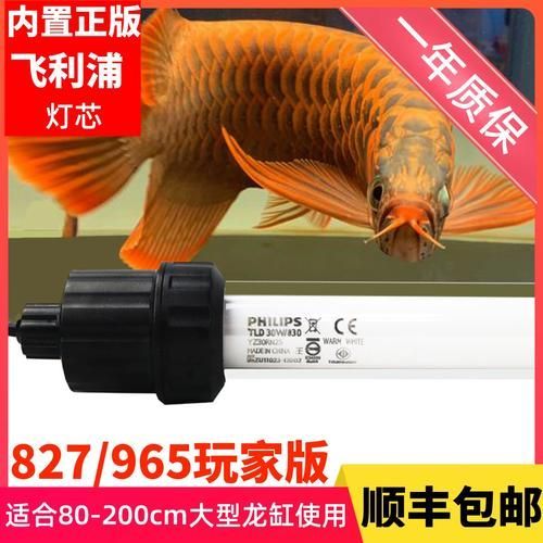 有哪些品牌金龍魚燈光推薦，金龍魚燈光品牌推薦 有哪些品牌金龍魚燈光推薦，金龍魚燈光品牌推薦 龍魚百科 第13張