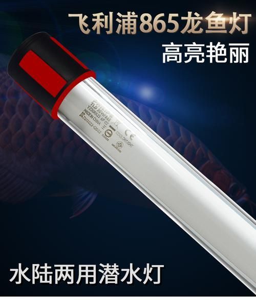 有哪些品牌金龍魚燈光推薦，金龍魚燈光品牌推薦 有哪些品牌金龍魚燈光推薦，金龍魚燈光品牌推薦 龍魚百科 第17張