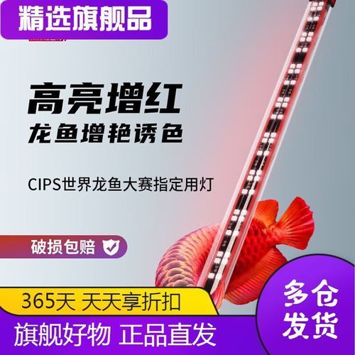 有哪些品牌金龍魚燈光推薦，金龍魚燈光品牌推薦 有哪些品牌金龍魚燈光推薦，金龍魚燈光品牌推薦 龍魚百科 第20張