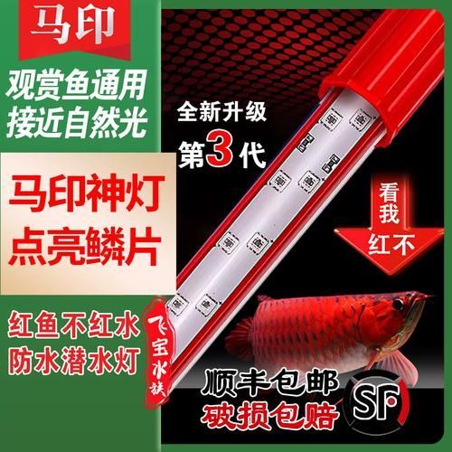 有哪些品牌金龍魚燈光推薦，金龍魚燈光品牌推薦 有哪些品牌金龍魚燈光推薦，金龍魚燈光品牌推薦 龍魚百科 第8張