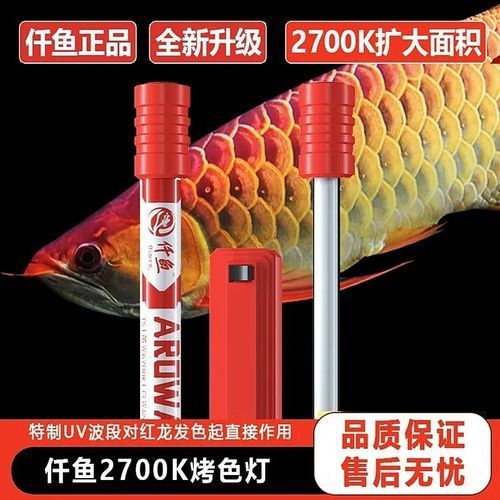 有哪些品牌金龍魚燈光推薦，金龍魚燈光品牌推薦 有哪些品牌金龍魚燈光推薦，金龍魚燈光品牌推薦 龍魚百科 第4張