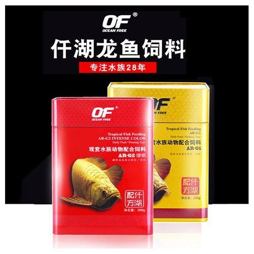 有哪些品牌飼料推薦給過背金龍魚，過背金龍魚專用飼料