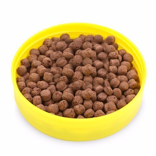 有哪些品牌飼料推薦給過背金龍魚，過背金龍魚專用飼料