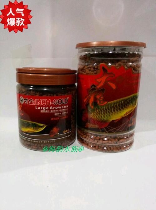 有哪些品牌飼料推薦給過背金龍魚，過背金龍魚專用飼料