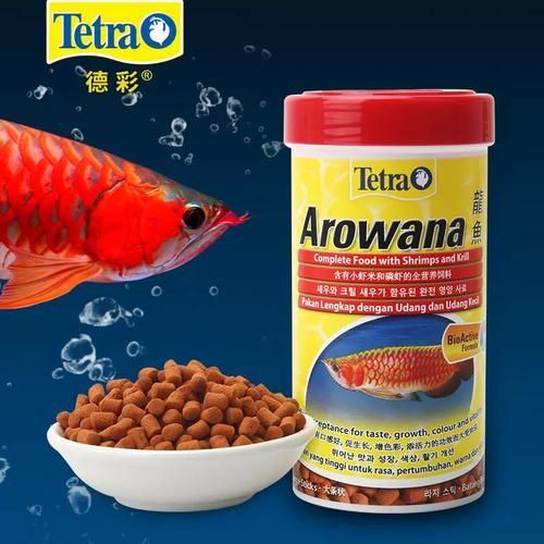有哪些品牌飼料推薦給過背金龍魚，過背金龍魚專用飼料
