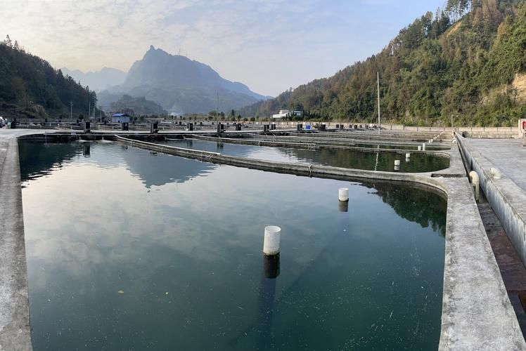 三都水族自治縣有哪些特色水產養殖項目，三都水族自治縣有哪些特色水產養殖項目的特色水產養殖項目