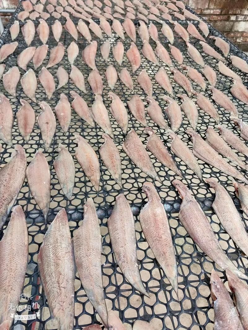 徐聞龍魚的價(jià)格是多少？，徐聞龍魚價(jià)格對(duì)比表，徐聞龍魚的價(jià)格對(duì)比表，幫你快速區(qū)分真實(shí)價(jià)值 徐聞龍魚的價(jià)格是多少？，徐聞龍魚價(jià)格對(duì)比表，徐聞龍魚的價(jià)格對(duì)比表，幫你快速區(qū)分真實(shí)價(jià)值 龍魚百科 第6張