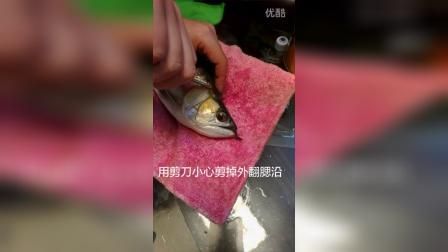 手術治療龍魚腮外翻需要多長時間恢復？，手術治療龍魚腮外翻手術治療龍魚腮外翻需要多長時間恢復 手術治療龍魚腮外翻需要多長時間恢復？，手術治療龍魚腮外翻手術治療龍魚腮外翻需要多長時間恢復 龍魚百科 第3張