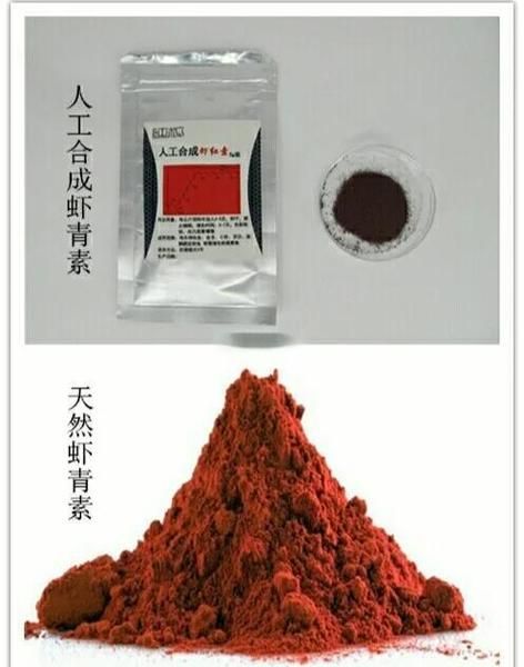 如何改善小紅龍魚的體色，如何改善小紅龍魚體色 如何改善小紅龍魚的體色，如何改善小紅龍魚體色 龍魚百科 第7張